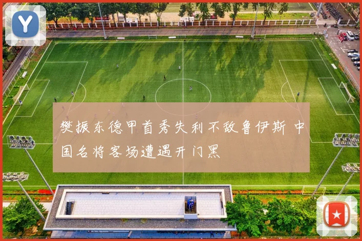 樊振东德甲首秀失利不敌鲁伊斯 中国名将客场遭遇开门黑