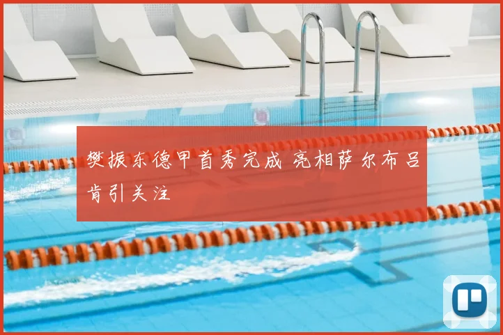 樊振东德甲首秀完成 亮相萨尔布吕肯引关注