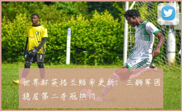 世界杯英格兰赔率更新:三狮军团稳居第二夺冠热门