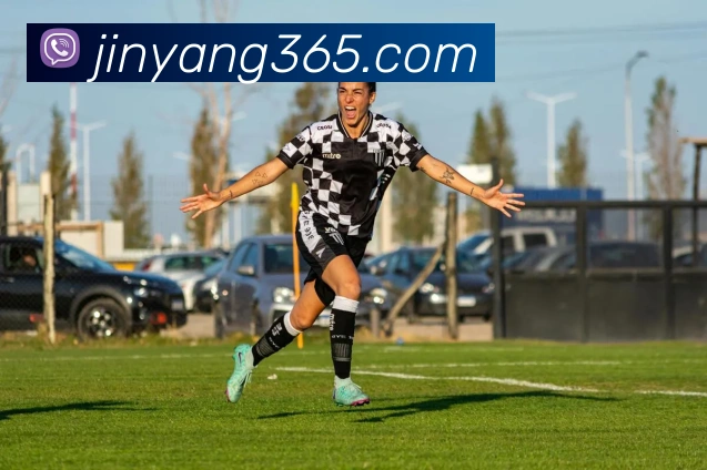 kaiyun官方平台发展历程